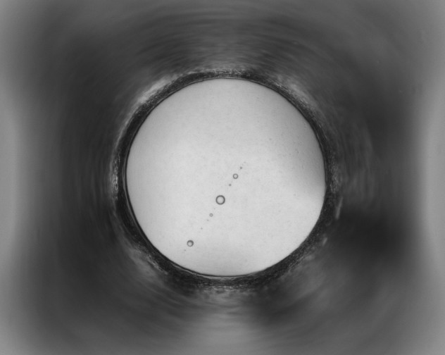 X0000087310632200704201211