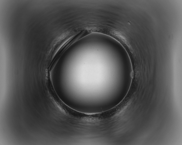 X0000087310633200704201211