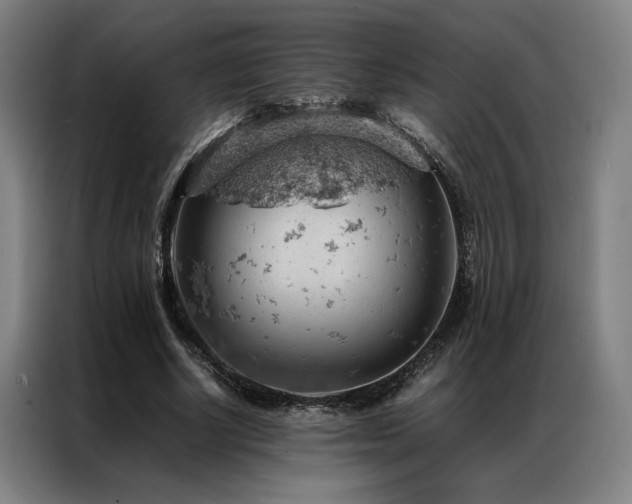 X0000087310634200704201211