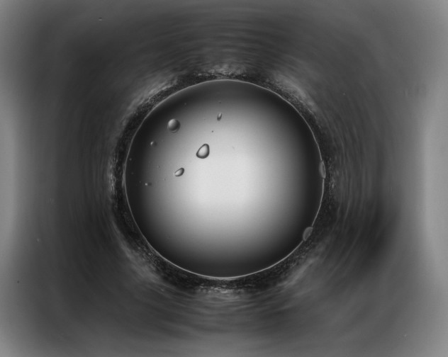 X0000087310635200704201211