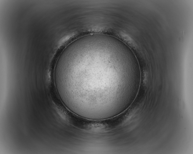 X0000087310636200704201211