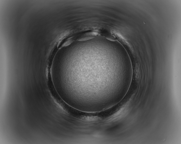 X0000087310637200704201211