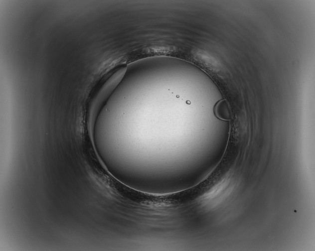X0000087310639200704201211