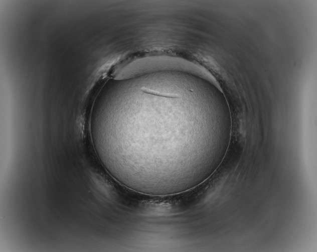 X0000087310640200704201211
