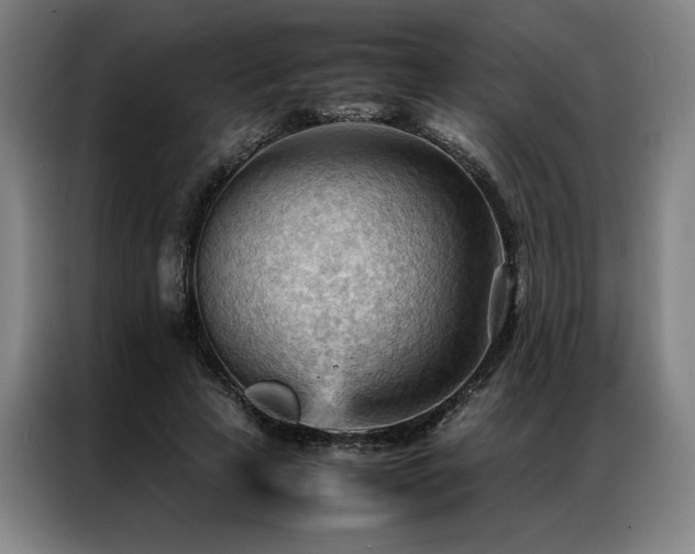 X0000087310641200704201211