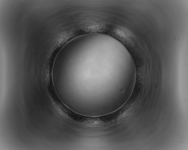 X0000087310642200704201211
