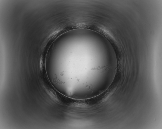 X0000087310644200704201211