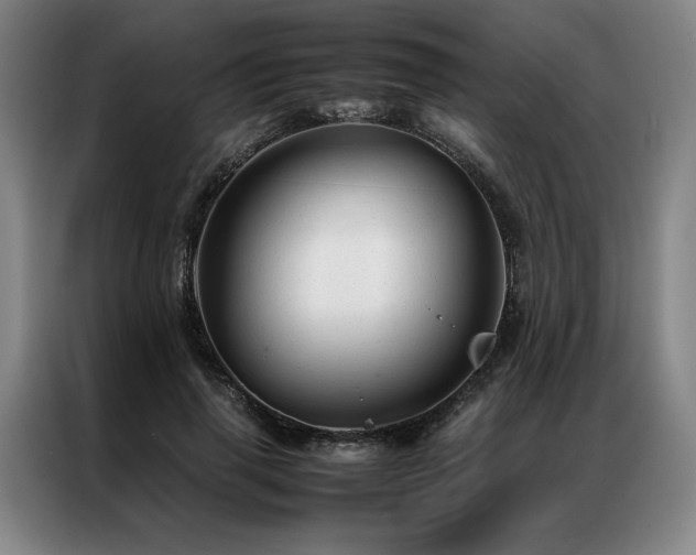 X0000087310645200704201211