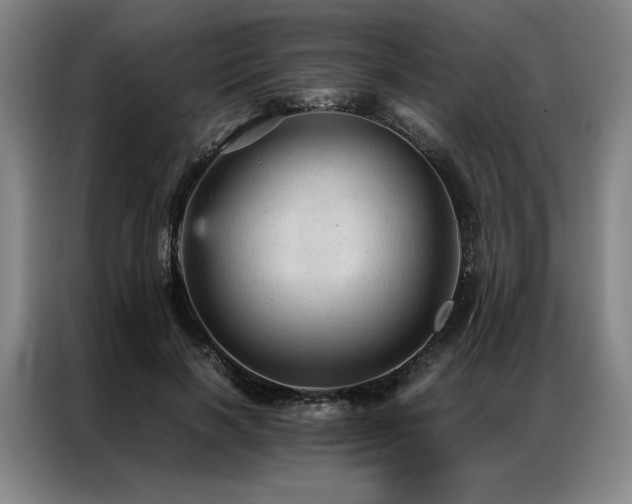 X0000087310646200704201211