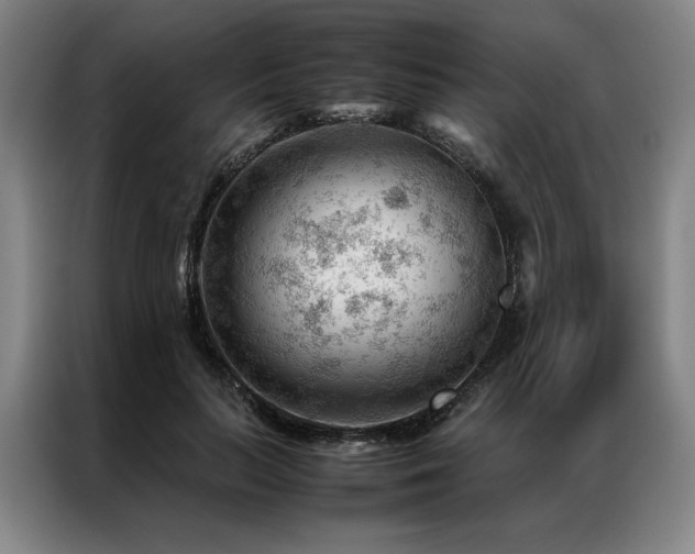 X0000087310647200704201211