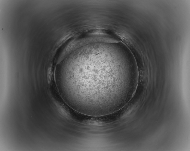 X0000087310648200704201211