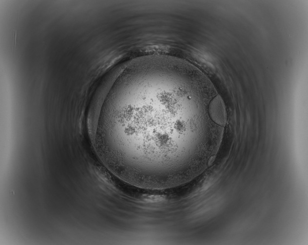 X0000087310649200704201211