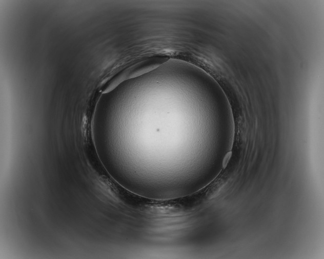 X0000087310650200704201211