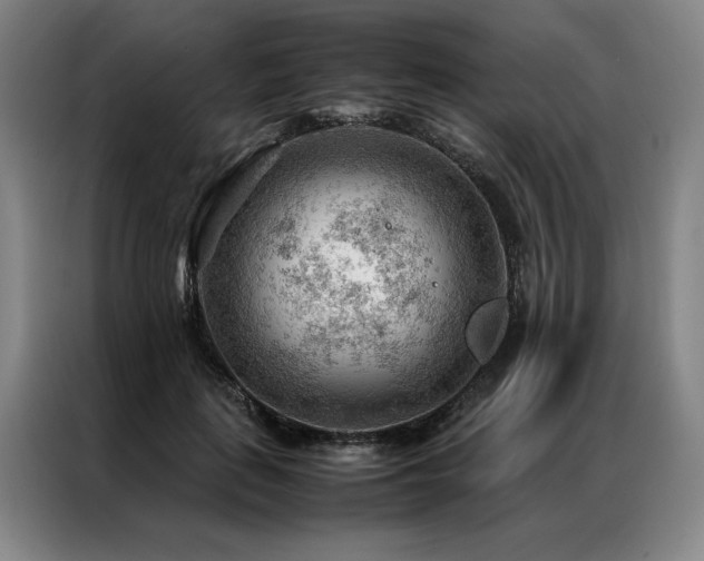 X0000087310651200704201211