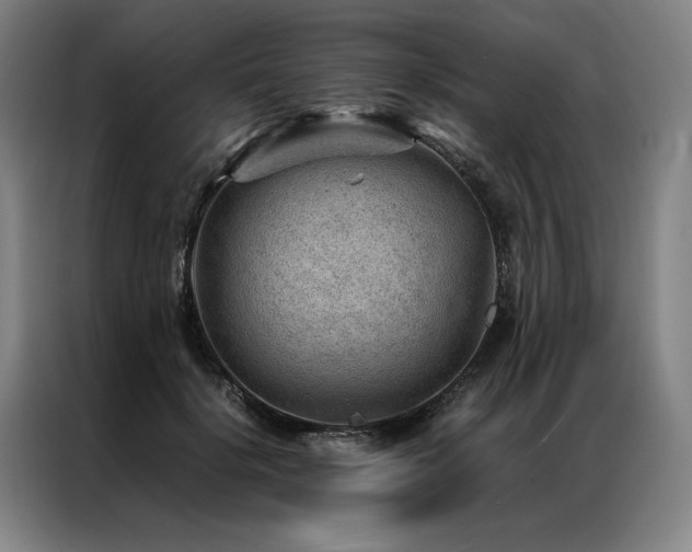 X0000087310652200704201211