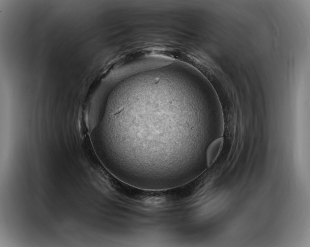 X0000087310653200704201211