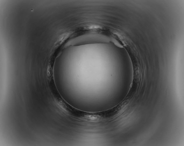X0000087310654200704201211