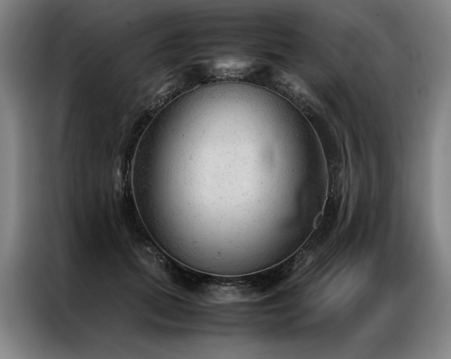X0000087310655200704201211