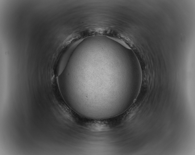 X0000087310656200704201211