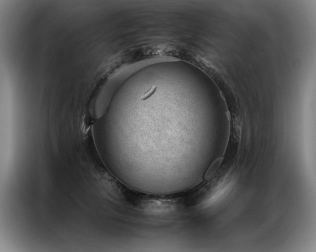 X0000087310657200704201211