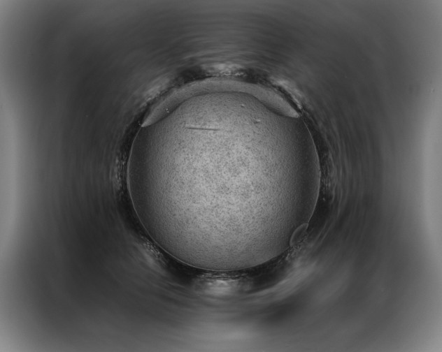 X0000087310658200704201211