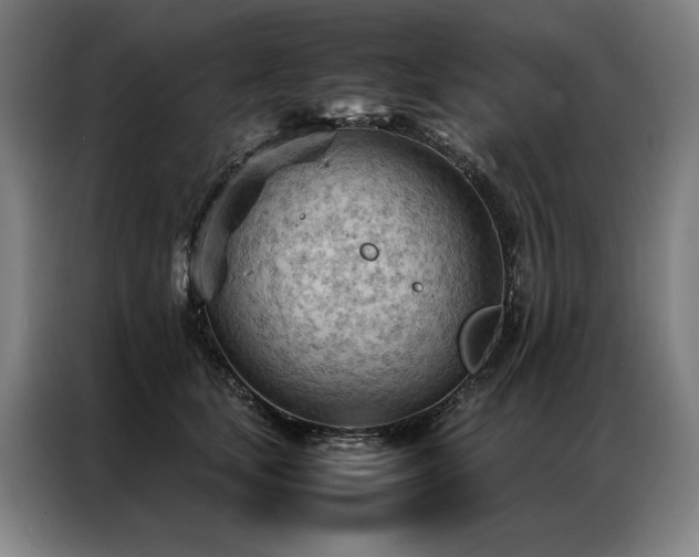 X0000087310659200704201211