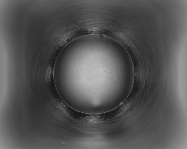 X0000087310660200704201211