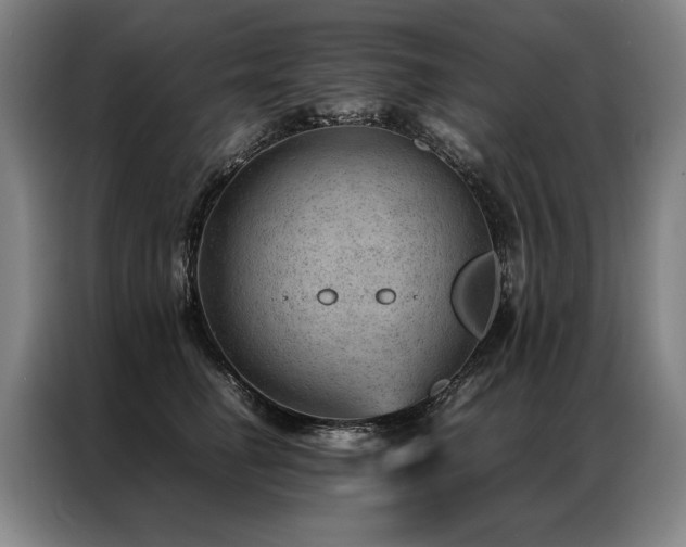 X0000087310662200704201211