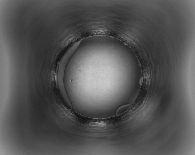 X0000087310665200704201211
