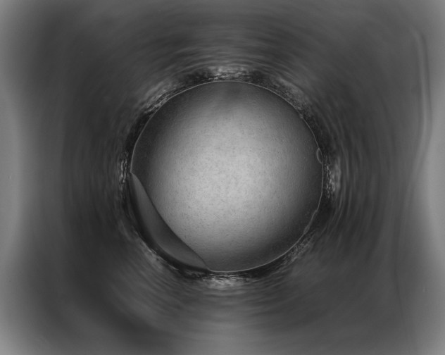 X0000087310666200704201211