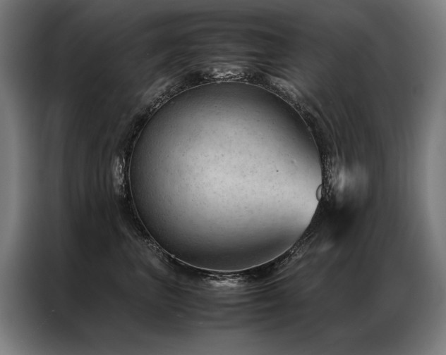 X0000087310667200704201211