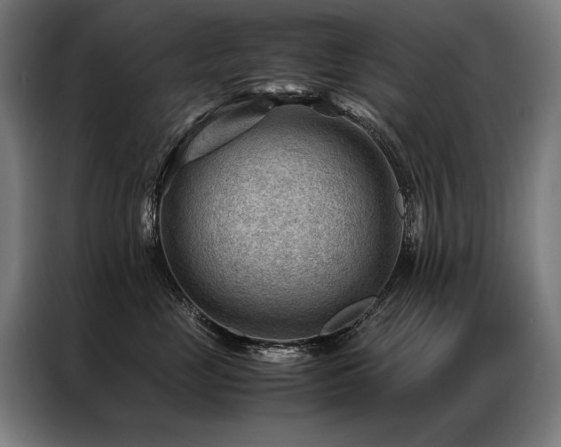 X0000087310669200704201211