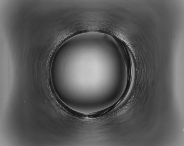 X0000087310673200704201211