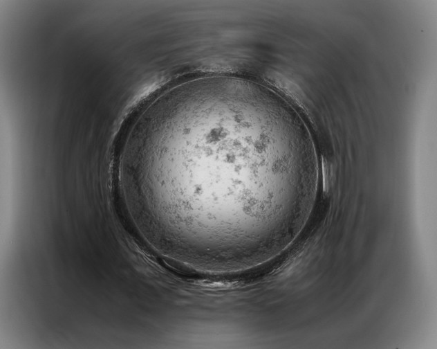 X0000087310675200704201210