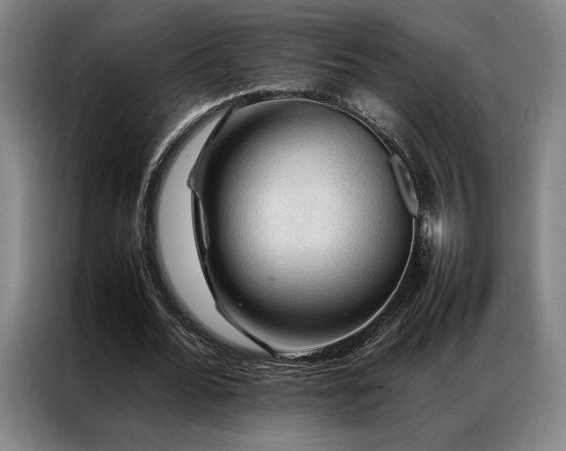 X0000087310676200704201210