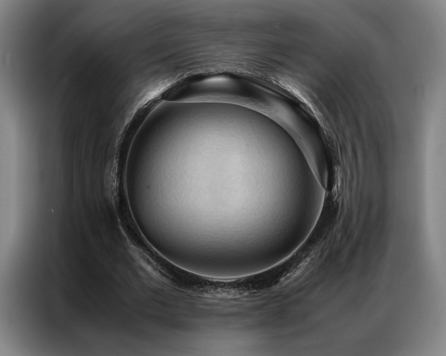 X0000087310677200704201210
