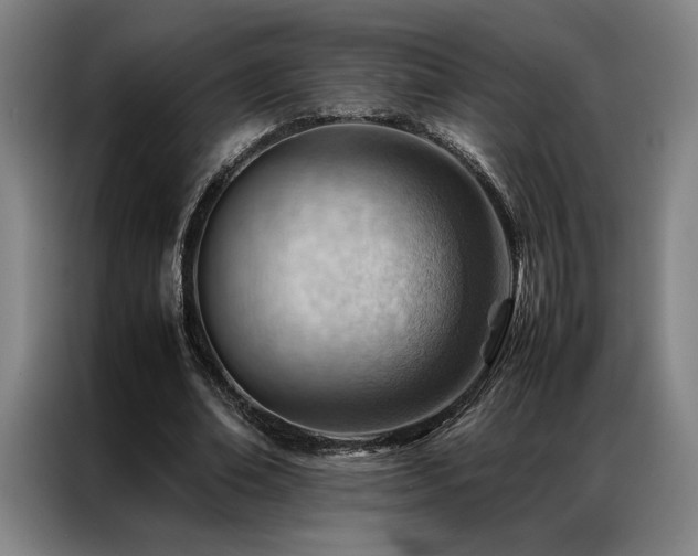 X0000087310678200704201210