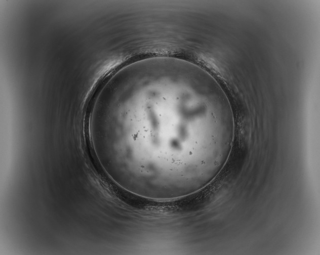 X0000087310679200704201210