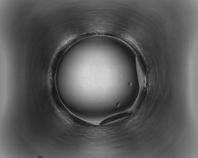 X0000087310680200704201210
