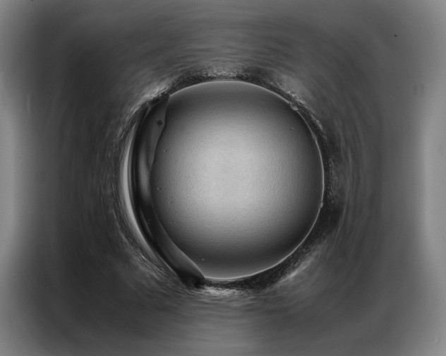 X0000087310681200704201210