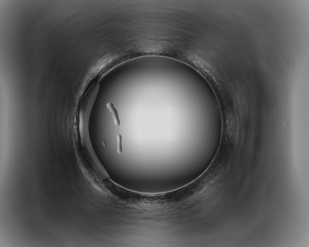 X0000087310682200704201210