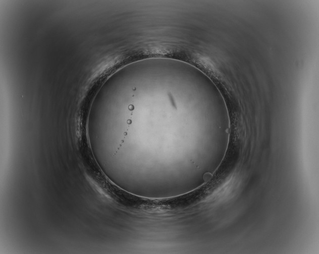 X0000087310683200704201210