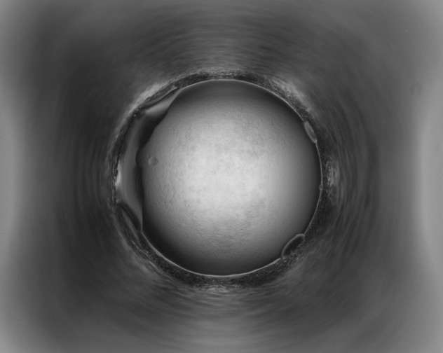 X0000087310684200704201210