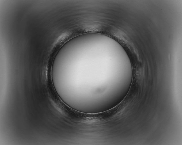 X0000087310686200704201210