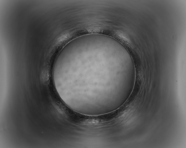 X0000087310687200704201210