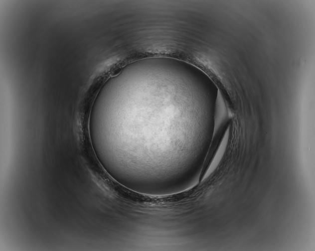 X0000087310688200704201210