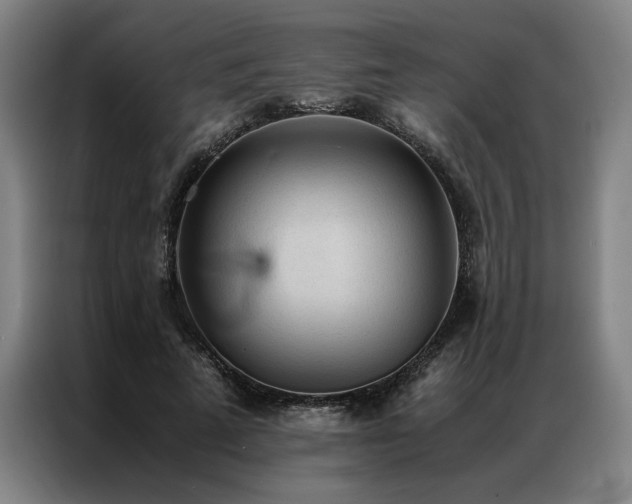 X0000087310689200704201210