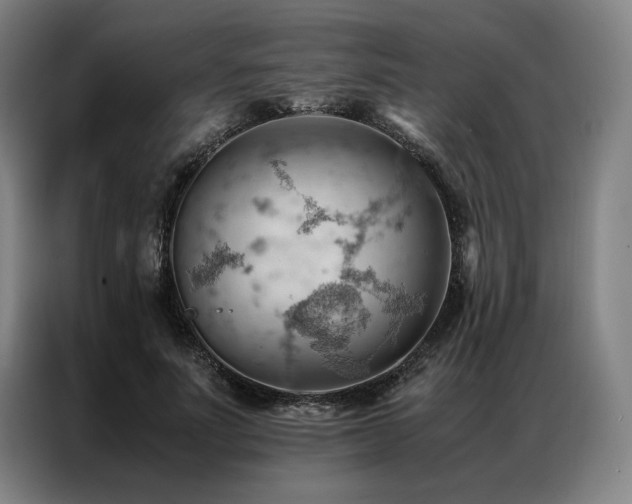 X0000087310691200704201210