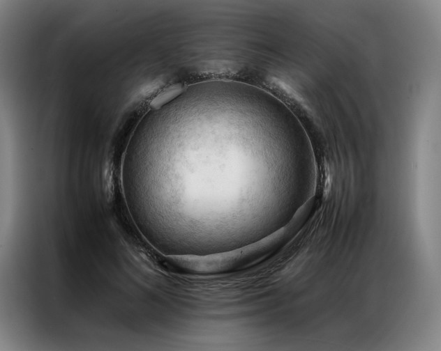 X0000087310692200704201210