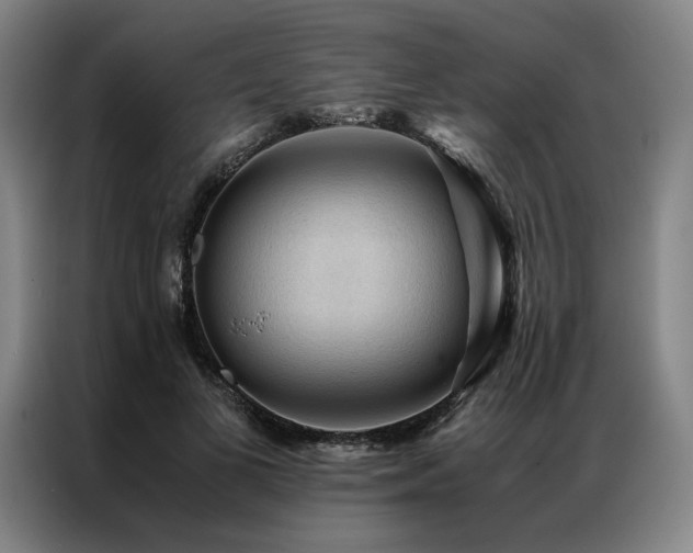 X0000087310693200704201210